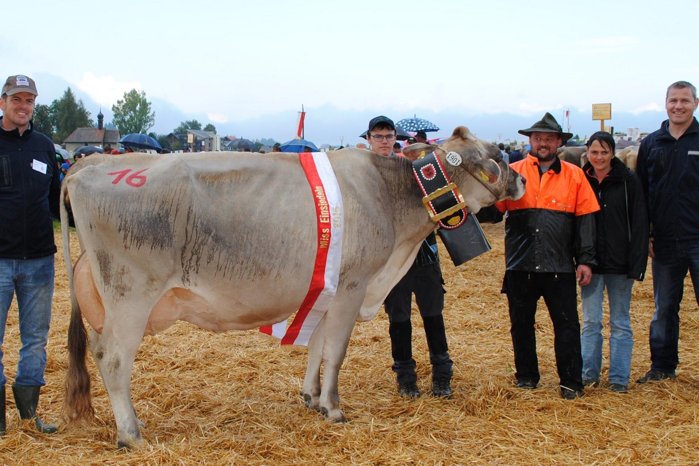 Miss Einsiedeln: Zaster Perfecta von Peter Kälin, Willerzell.