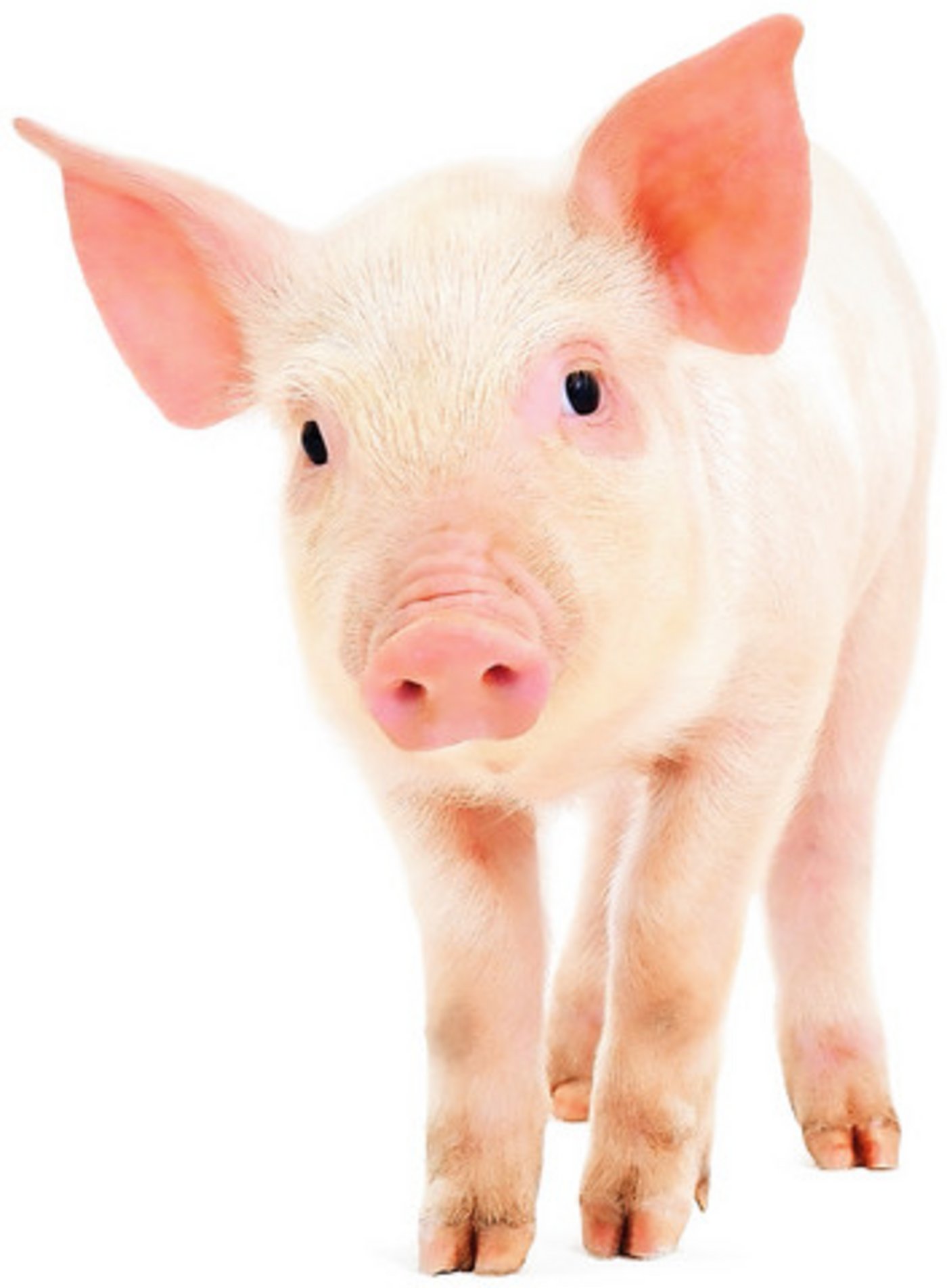 Symbolbild (Bild Fotolia)