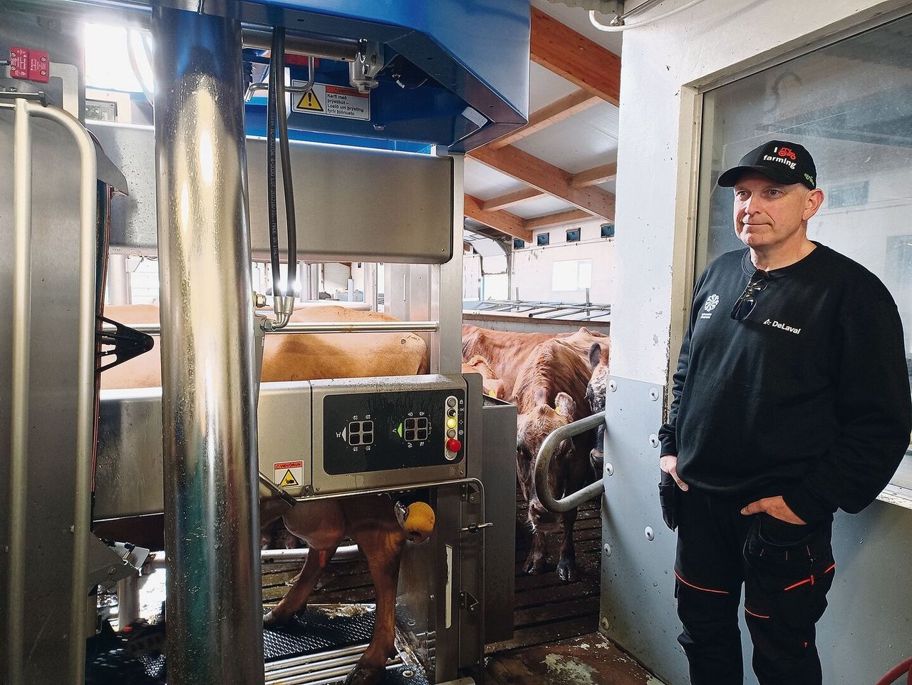 Þorgrímur Einar Guðbjartsson und seine Frau führen im Westen Islands einen Milchbetrieb mit Hofladen.