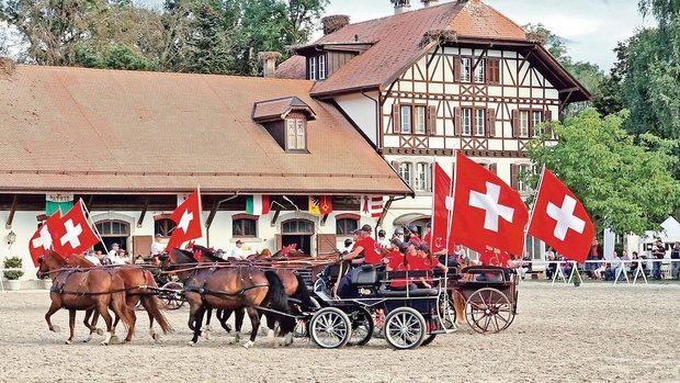 Die Pferdezuchtgenossenschaft Falkenstein hievt die Fahnen für die Freibergerpferde.