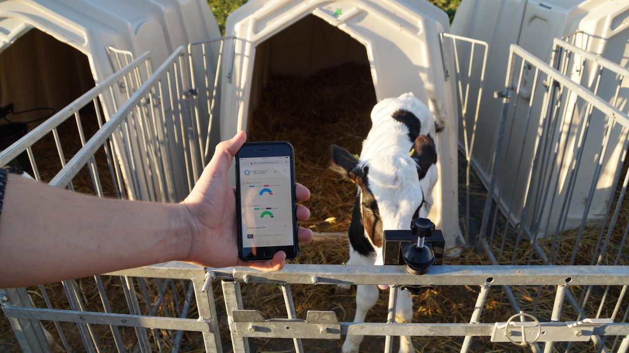 «Calf Monitoring System» der Firma Futuro Farming GmbH (Bild Euro Tier)