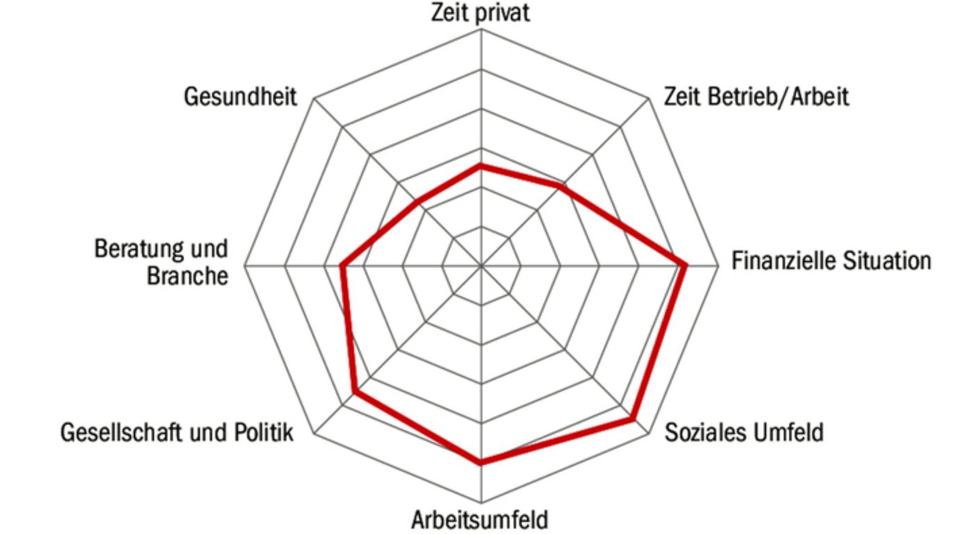 Symbolbild: Die Resultate des Selbstchecks werden in Form eines Spinnendiagramms dargestellt.