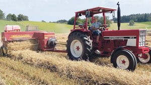Der International 63 Der International 633 wurde 1980 zum ersten Mal in den Verkehr gesetzt. Nach einer Restaurationszeit erwachte er zu einem neuen Leben.