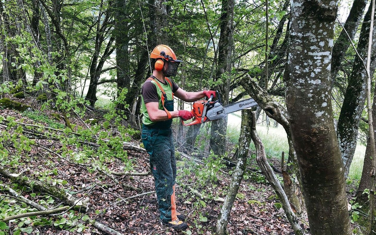 Neue Vorschriften sollen für mehr Sicherheit bei Forstarbeiten sorgen. Dabei gilt wie so oft: Keine Regel ohne Ausnahme. Denn die Umsetzung geschieht kantonal unterschiedlich. 