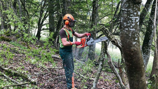 Neue Vorschriften sollen für mehr Sicherheit bei Forstarbeiten sorgen. Dabei gilt wie so oft: Keine Regel ohne Ausnahme. Denn die Umsetzung geschieht kantonal unterschiedlich. 