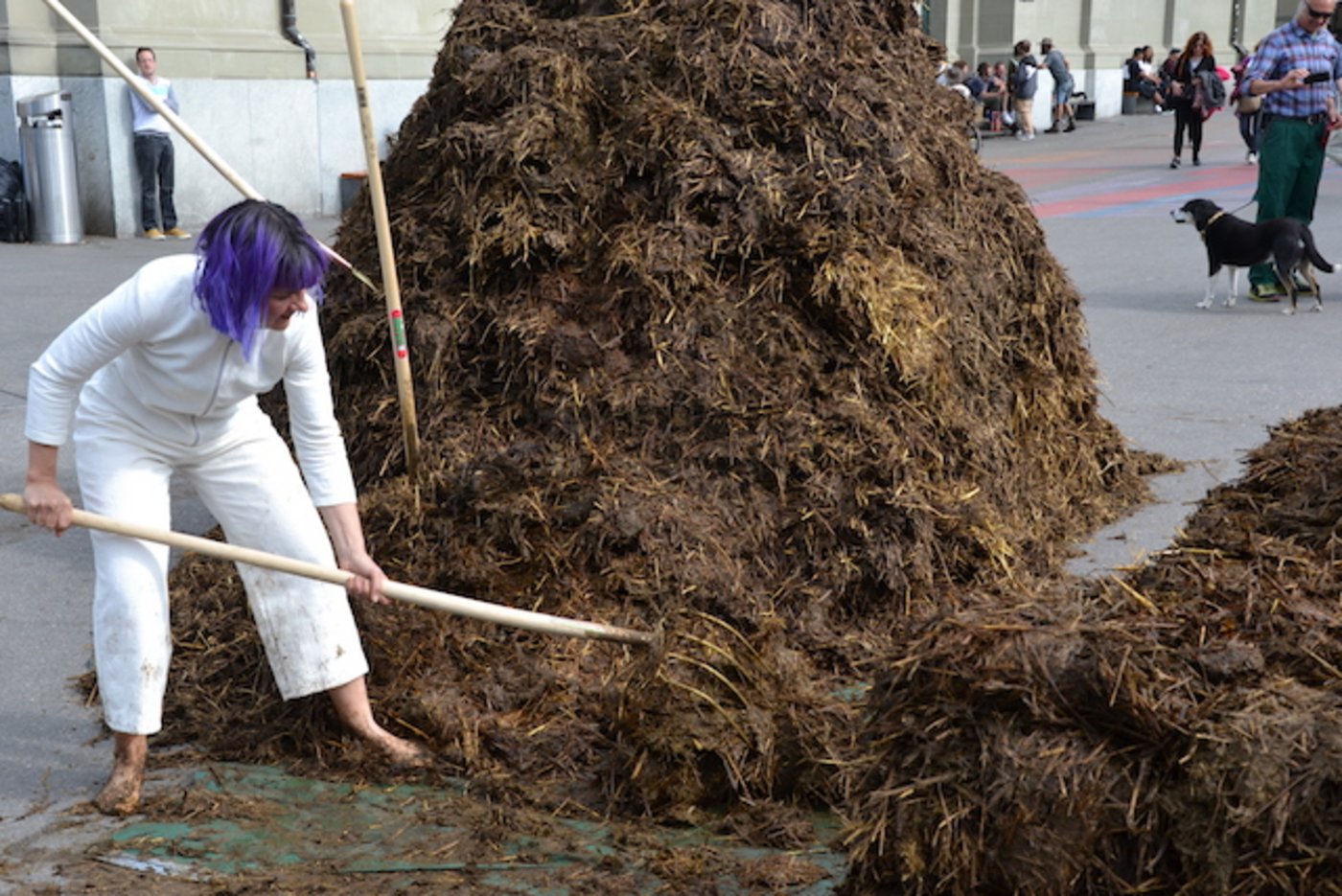 Bevor der Mist auf den Stapel kommt, wird er zu einem festen Paket gestampft. (Bild jsc)