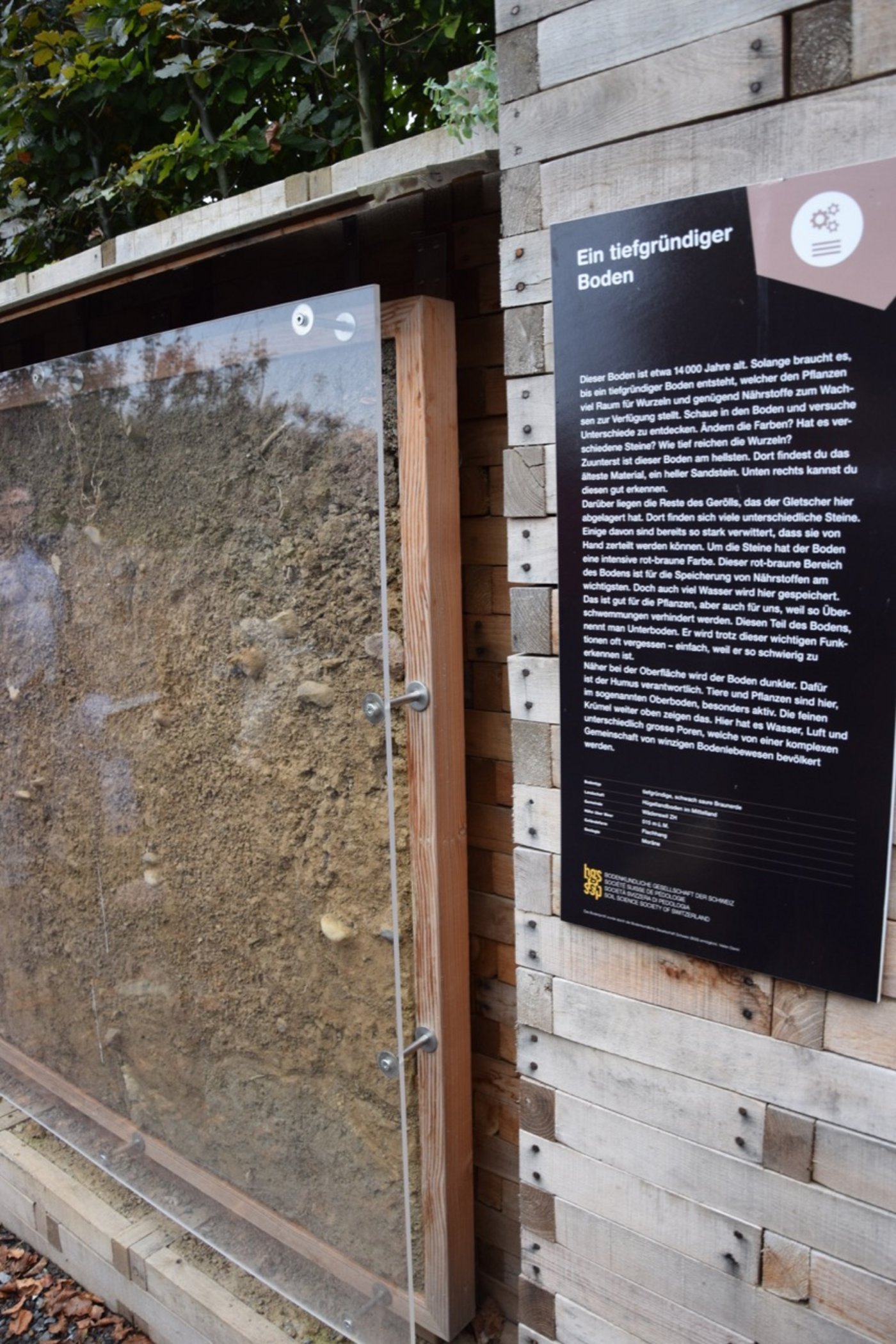 Für die Ausstellung wurde unter anderem ein Bodenprofil erstellt.