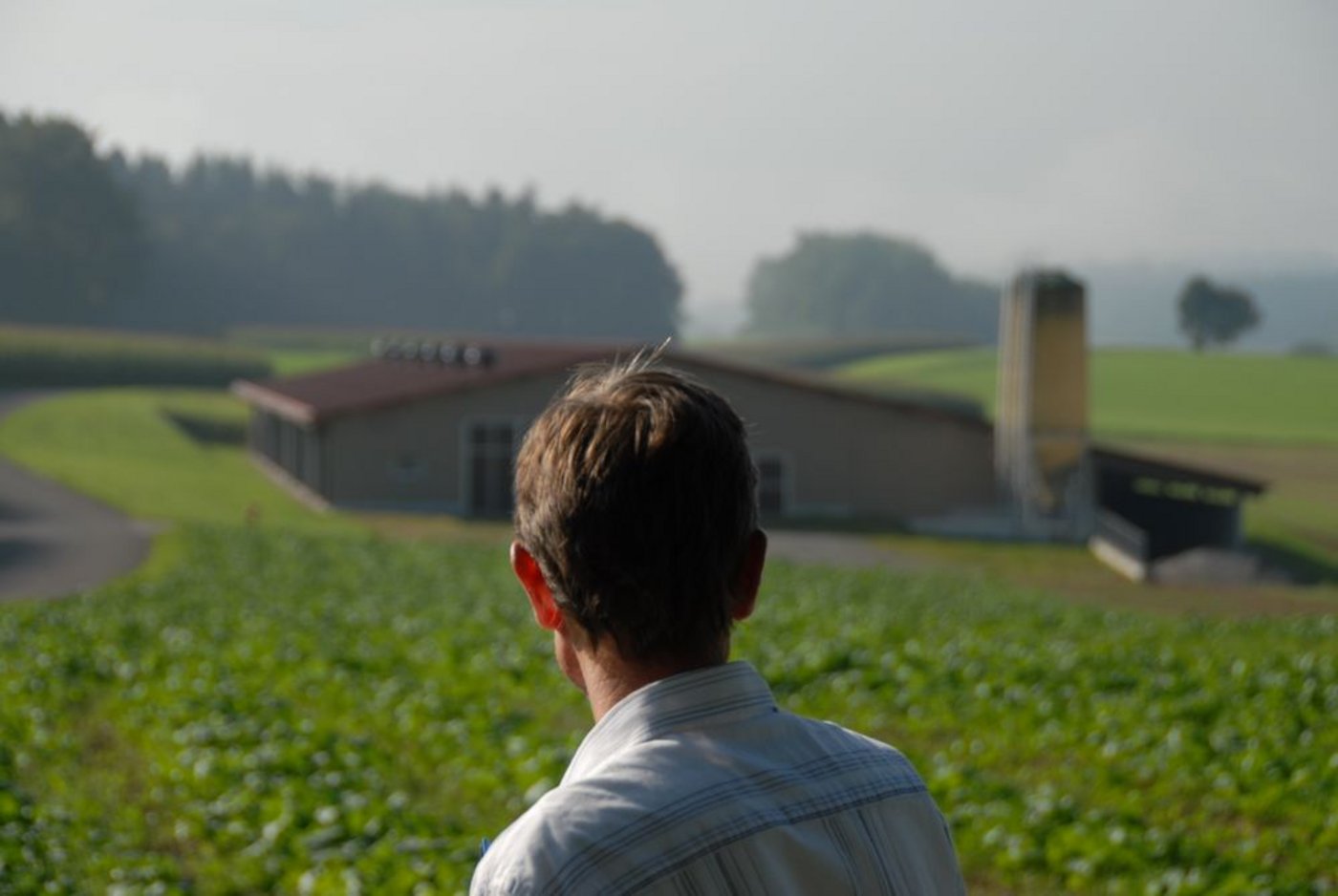 aAndreas Bosshard ist der Ansicht, dass die bodenunabhängige Landwirtschaft nicht durch Direktzahlungen gefördert werden sollte. (Bild: hja)