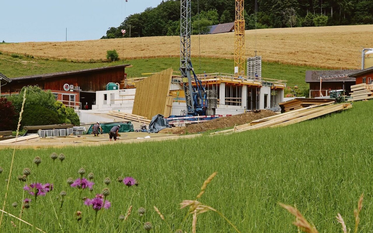 Am Standort des alten Wohnhauses entsteht die neue Scheune. Die Betonarbeiten sind bald abgeschlossen, der Holzbauer hat gestartet, die Module für die Vollholzdecke werden angeliefert. 