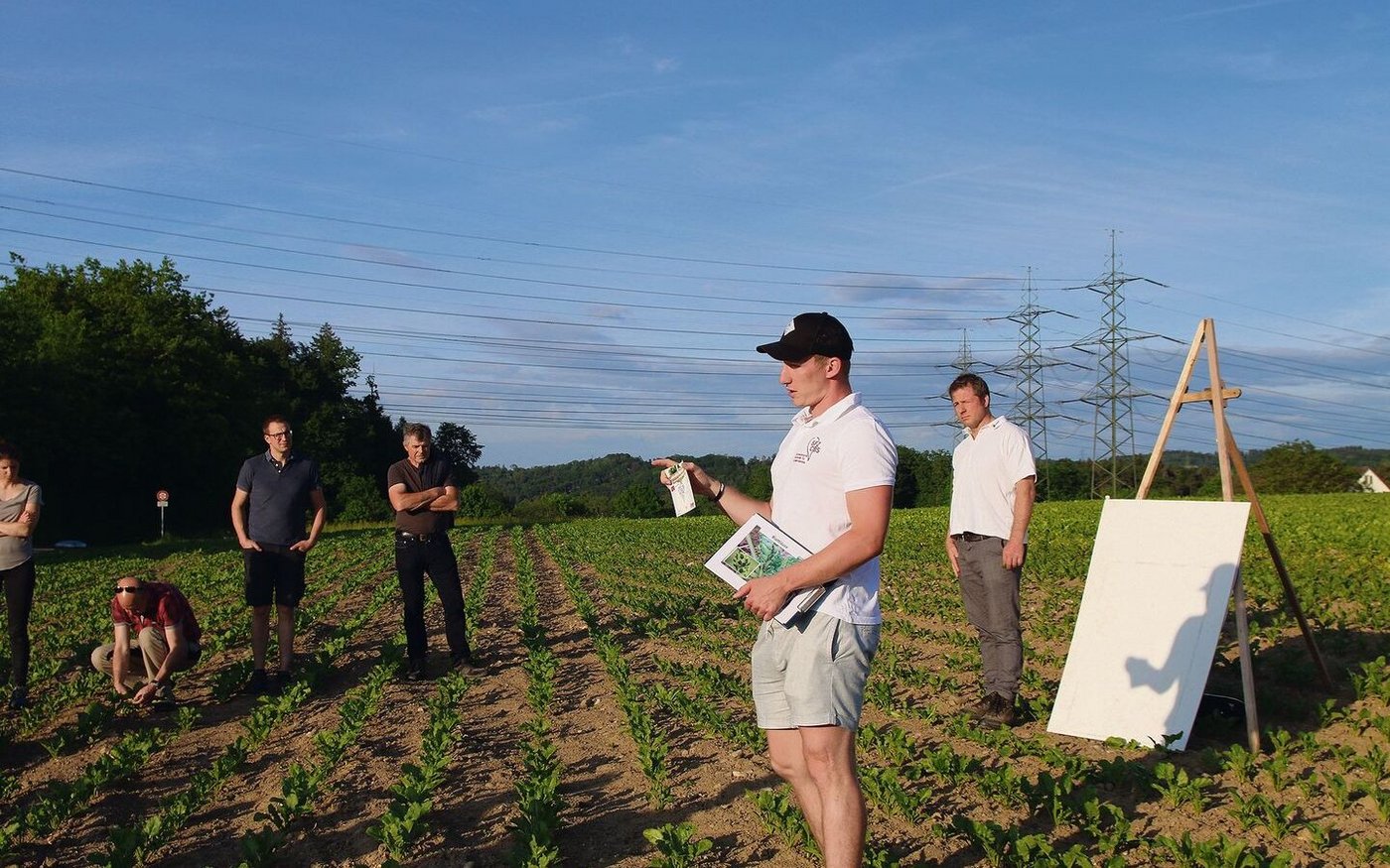 Luzi Schneider (vorne) und Georg Feichtinger vom Strickhof informierten über den Schädlingsbefall in den Rüben. 