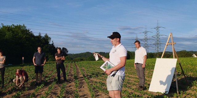 Luzi Schneider (vorne) und Georg Feichtinger vom Strickhof informierten über den Schädlingsbefall in den Rüben. 