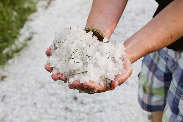 Labelprämien sind nicht gegen Hagel versichert In weiten Teilen der Schweiz hat der Hagel diesen Sommer bereits grossen Schaden angerichtet. (Bild Adobe Stock)