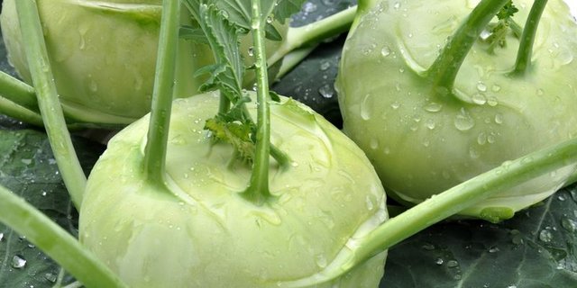 Der schnellwachsende Kohlrabi ist eines der ersten Gemüse, das im Frühling frischen Wind in die Küche bringt. (Bild Pixabay)