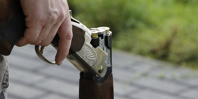 Der Angeklagte schoss auf einen Steinadler, welchen er für einen Fuchs hielt. (Symbolbild Pixabay)