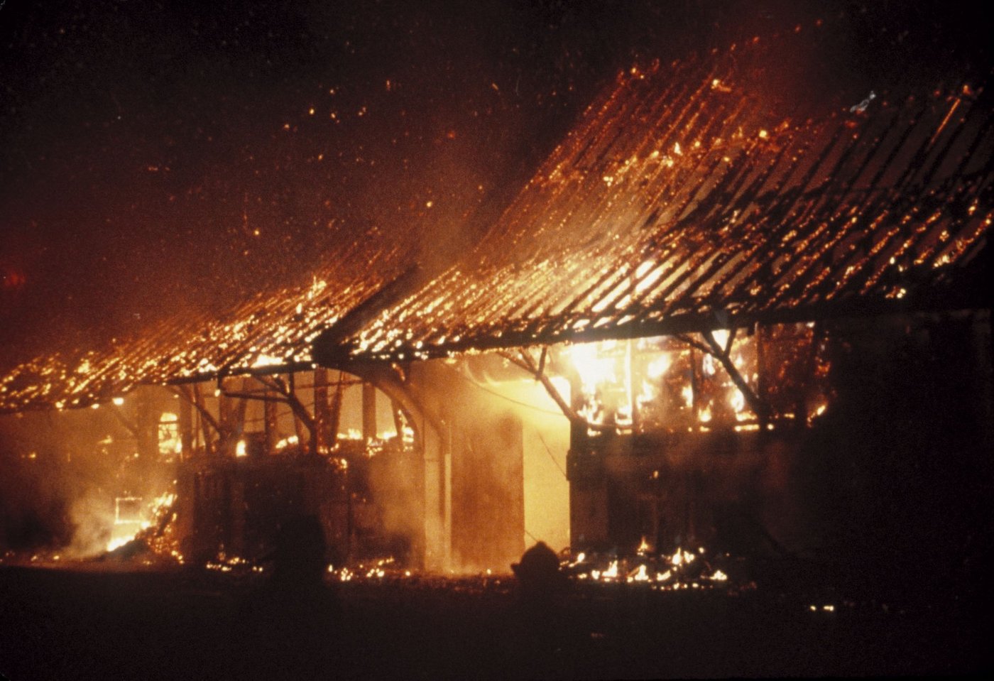 Peta wirft dem Landwirt vor, mutmasslich unzureichende Brandschutzmassnahmen getätigt zu haben. (Symbolbild BauZ)