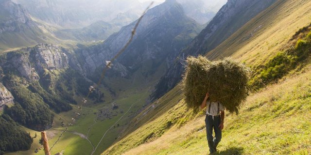 Die Alpzeit sei geprägt von Kargheit und Härte, aber auch von der Schönheit der Natur, schreibt SRF zur Dokumentation «Alpzyt». (Bild SRF)