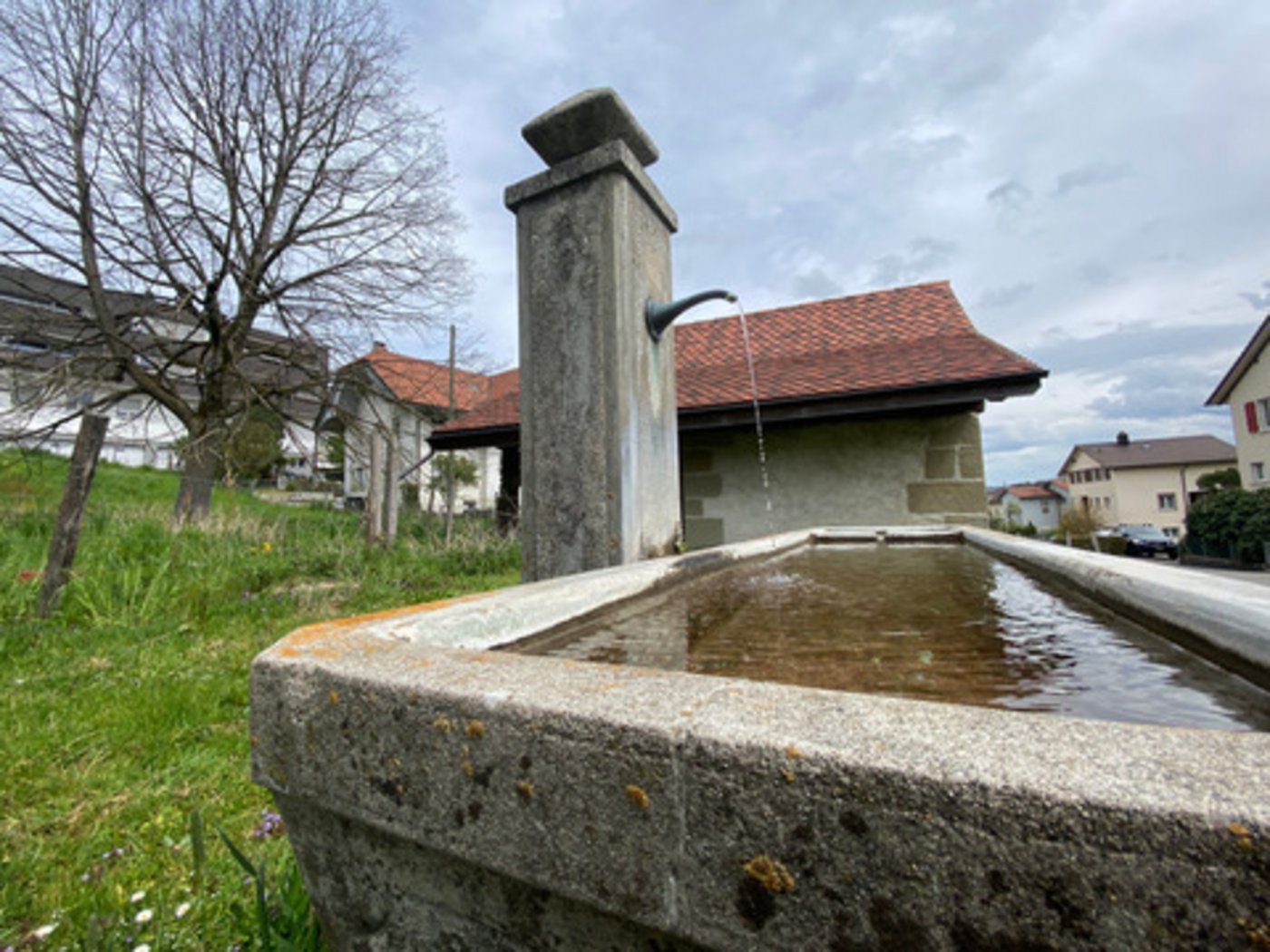 An Die Abstimmungsarena über die Trinkwasser-Initiative war hitzig und emotional. Eine Veränderung der Landwirtschaft wollen beide Lager, aber die Art und Weise davon unterscheidet sich stark. (Bild BauernZeitung/sjh) 