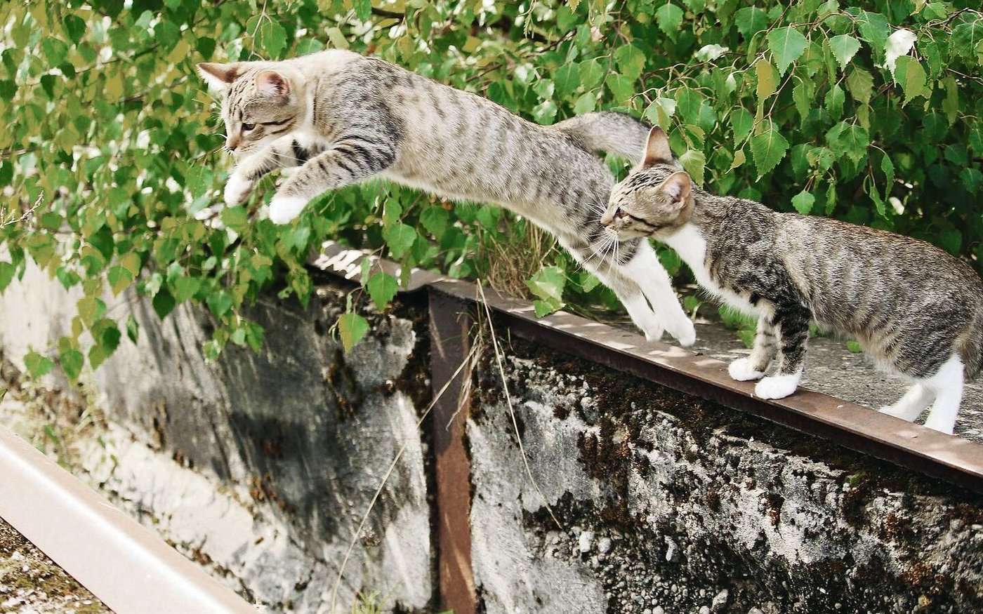 Den Sprung wagen? Kann ich das? Gerade für Selbstständigerwerbende ist es wichtig, sich selbst zu ermutigen. 