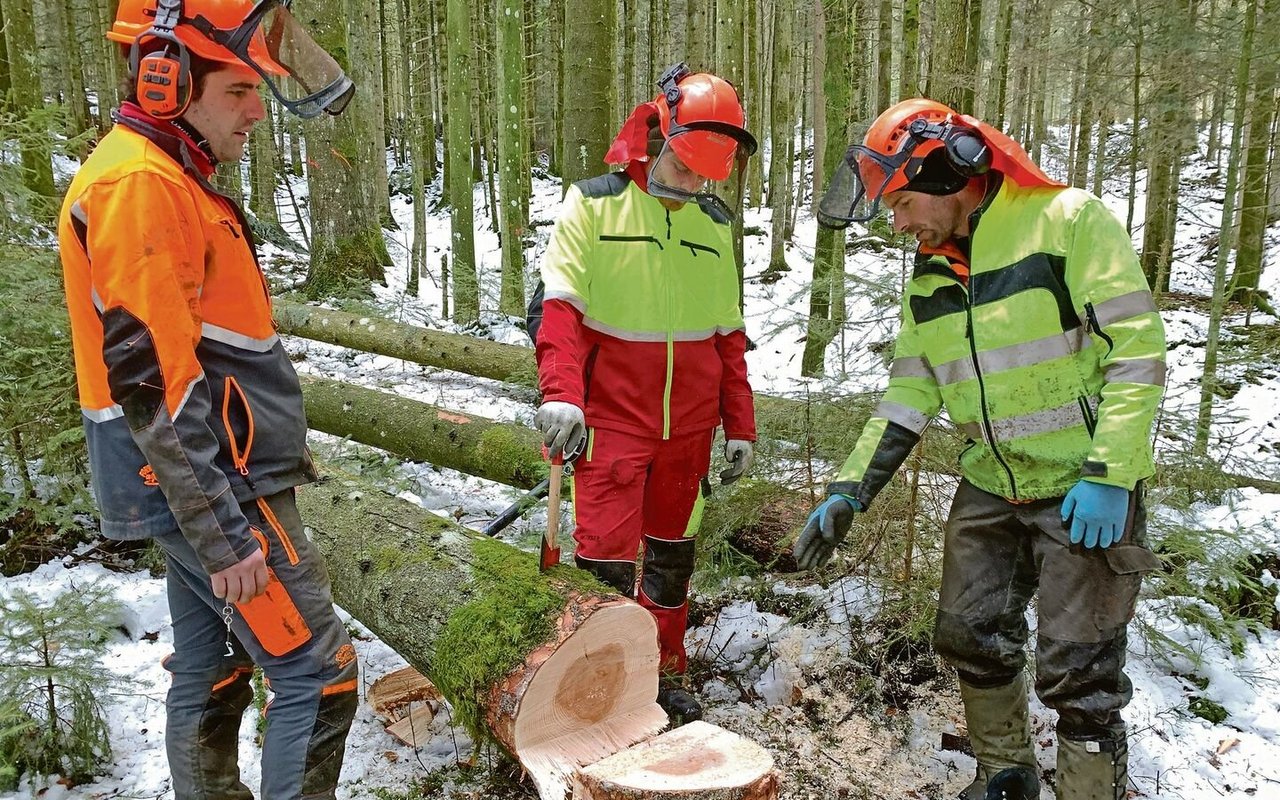 Junge Kursteilnehmer am Basiskurs Holzernte im Eigenthal im vergangenen Dezember. Eine Auffrischung an einem Weiterführungskurs wird auch älteren, erfahrenen Holzern empfohlen.