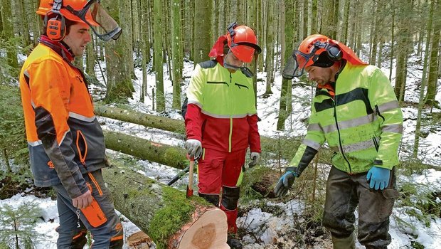 Junge Kursteilnehmer am Basiskurs Holzernte im Eigenthal im vergangenen Dezember. Eine Auffrischung an einem Weiterführungskurs wird auch älteren, erfahrenen Holzern empfohlen.