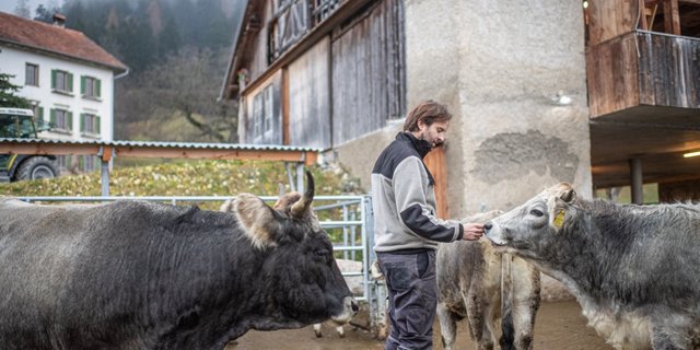 Fu¨r die Hofto¨tung rechnet Blunier mit einer Vor- und Nachbereitungszeit von drei Stunden. Bild: Matthias Nutt