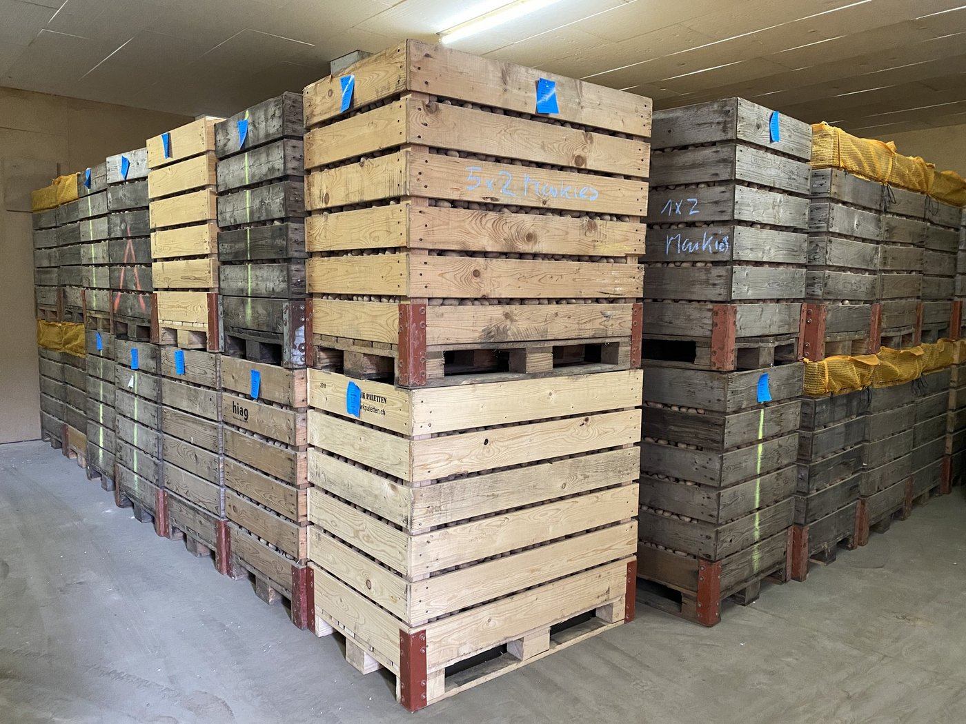 Das bereits erhaltene Pflanzgut soll an die Handelsbetriebe zurückgegeben werden. Der VSKP wird die Rückvergütung übernehmen. (Symbolbild Katrin Erfurt)