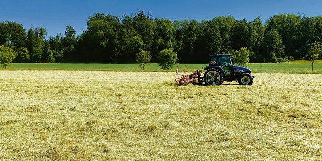 Die Futterqualität sei laut den Bauern gut, trotzdem darf man die Gefahr auf dem Heustock nicht unterschätzen. Es gilt, die Heubelüftung genügend lange laufen zu lassen.(Bild Flurina Monn)