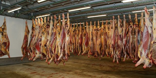 Seit 2018 ist das System im Einsatz. (Symbolbild/lid ji)