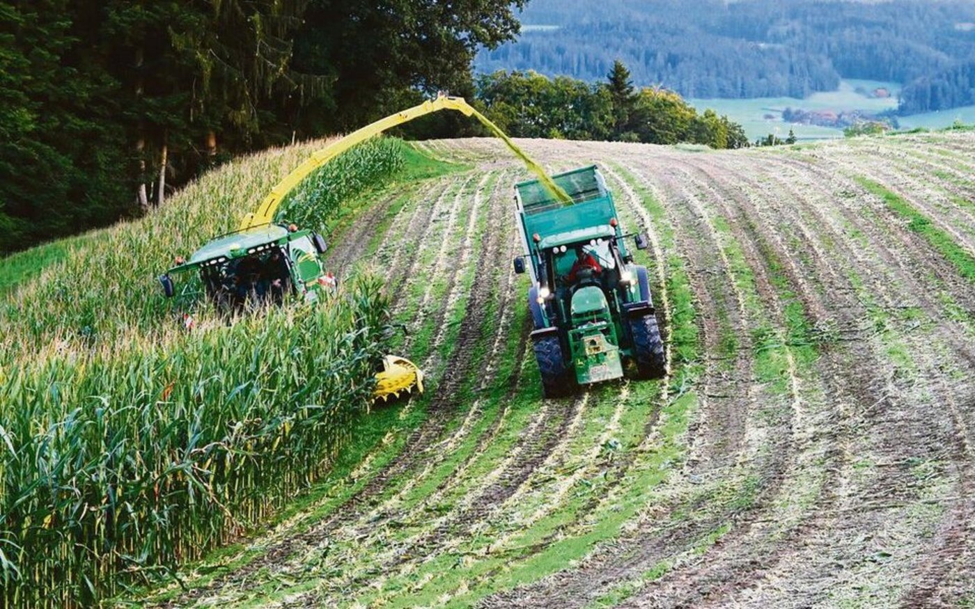 Vorteile des «Stalkbusters»: Die durch das Zerschlagen der Stoppeln entstandenen Pflanzenreste verrotten schneller und besser, zudem erleichtern sie damit die nachfolgenden Bodenbearbeitungen.  
