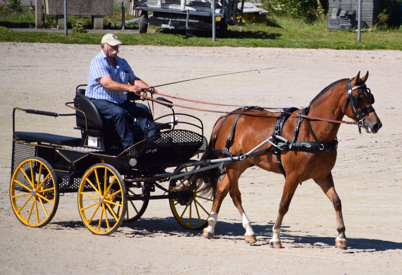 Christian Aeschlimann mit der Feldtestsiegerin Sulaika la Chasse (Nick / Néco). (Bild zVg)