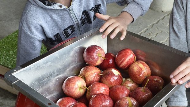 Selber mosten ist nur etwas von all den Dingen, die Schüler auf einem Bauernhof erleben und erfahren können. (Bild SchuB)