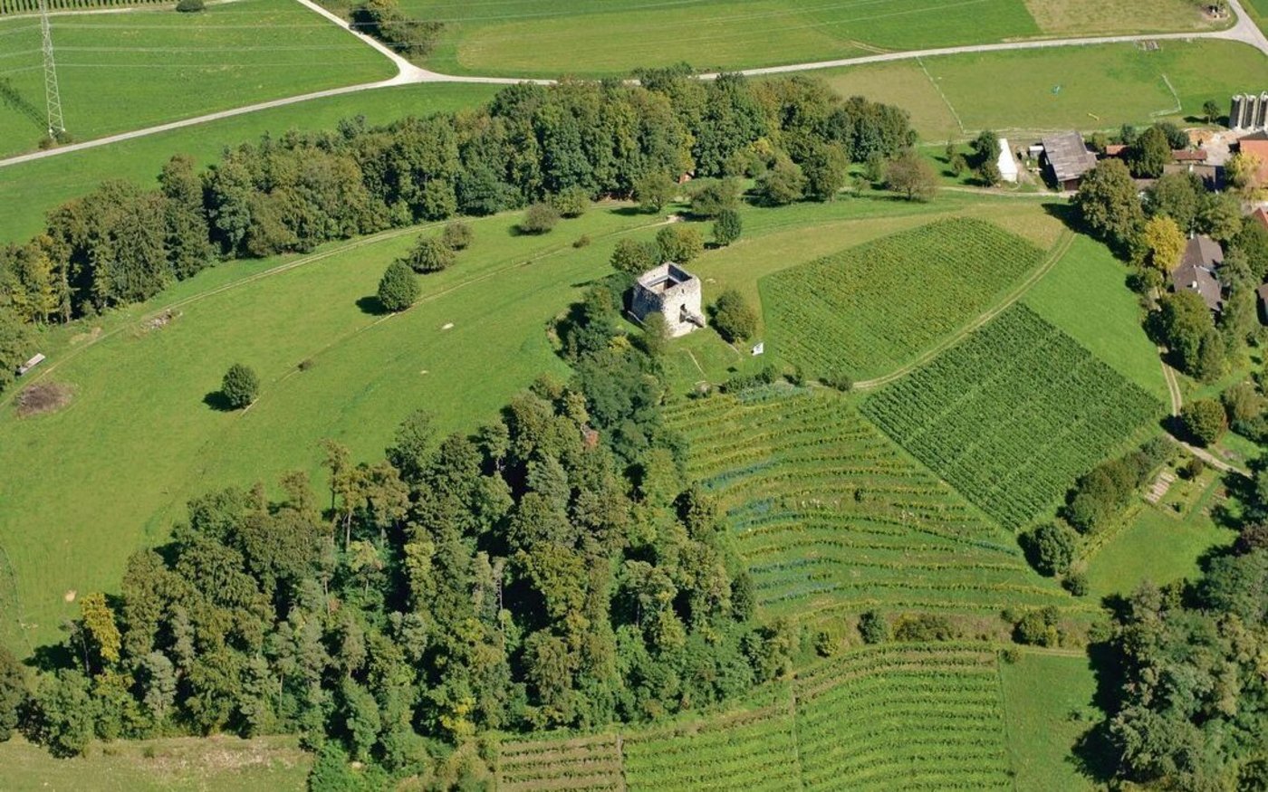 Im Unteren Tösstal prägen Reben, Wiesen, Weiden und Ackerflächen das Landschaftsbild. Das soll erhalten werden, aber nicht mit noch grösseren Auflagen. 