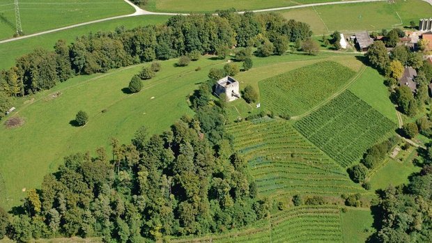 Im Unteren Tösstal p Im Unteren Tösstal prägen Reben, Wiesen, Weiden und Ackerflächen das Landschaftsbild. Das soll erhalten werden, aber nicht mit noch grösseren Auflagen.