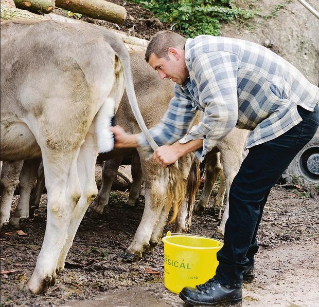 Tun alles für ein «gutes» Bild: Entlebucher Landwirte waschen ihre Tiere, bevor sie ihnen Blumenschmuck anlegen, in die Tracht schlüpfen und nach Schüpfheim LU laufen. (Bild hja)
