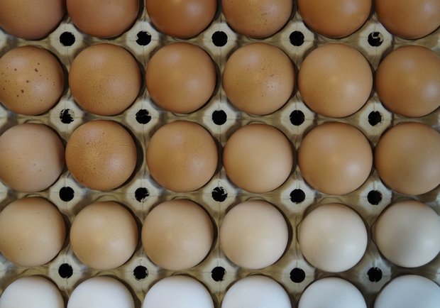 Schweizer Eier sind nicht an Ostern in aller Munde. (Bild landwirtschaft.ch / Debora Meister)