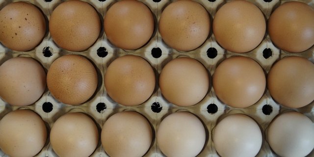 Schweizer Eier sind nicht an Ostern in aller Munde. (Bild landwirtschaft.ch / Debora Meister)