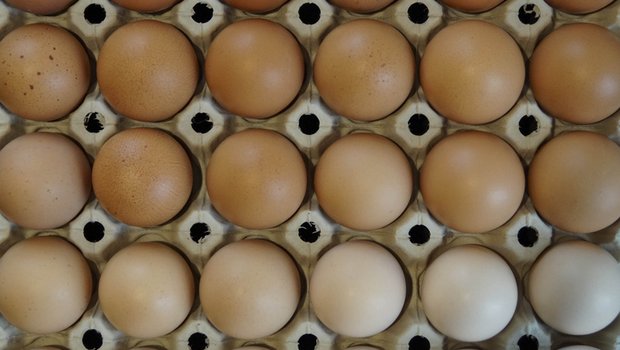 Schweizer Eier sind nicht an Ostern in aller Munde. (Bild landwirtschaft.ch / Debora Meister)
