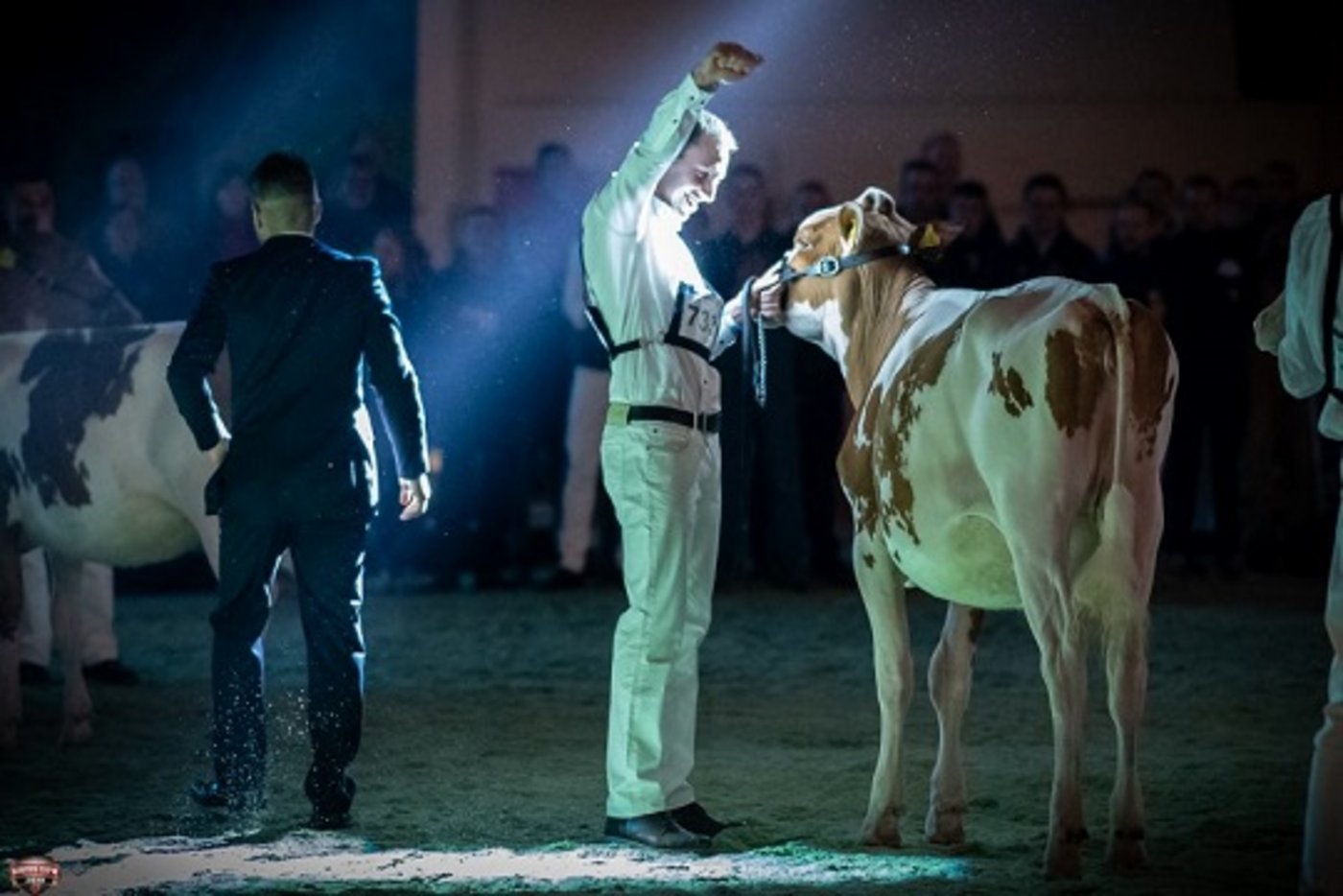 Rebin Jordy Extra von Fritz und Christian Reber und Hansrudolf Egli, Schangnau BE, wurde Rinder-Championne.