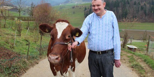 Andreas Haas mit seiner erfolgreichsten Kuh, der 14 Jahre alten Baccala Meril, der dritten 100‘000er-Kuh aus seinem Stall. (Bild Benildis Bentolila)