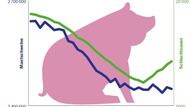 Die Zahlen der Schlachtungen von Schlachtschweinen (blaue Linie) bleiben stabil auf tiefem Niveau. Die Schlachtungen der Schlachtsauen aus der Zucht (grüne Linie) nehmen zu. (Grafik BauZ Quelle Agristat)