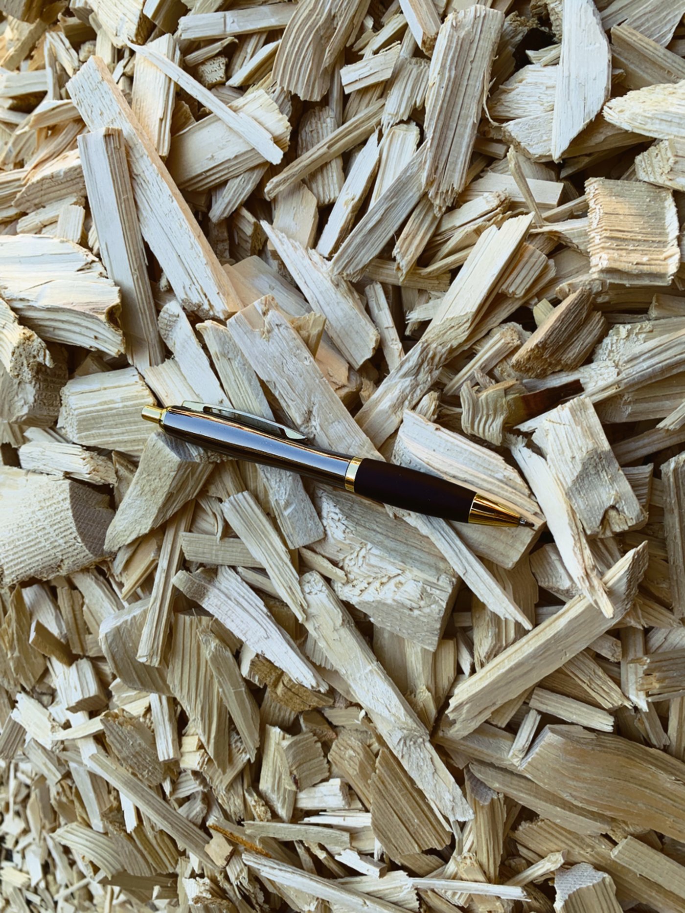 Für die Vergasung sind grössere Schnitzel besser geeignet.