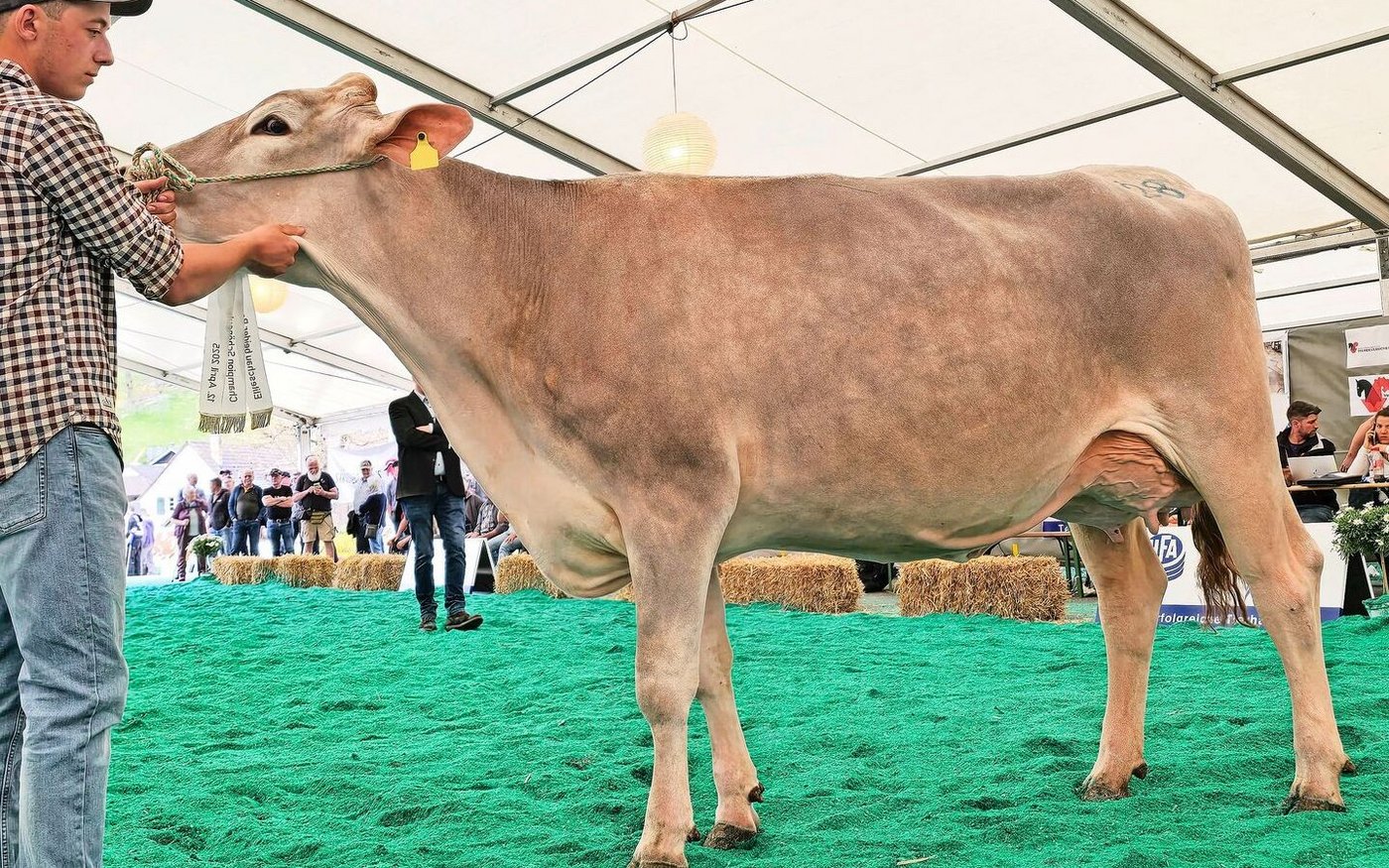 Die Schöneuter der Braunen: Annens BS Owen Soraya von Franz Annen holte sich diesen Titel.