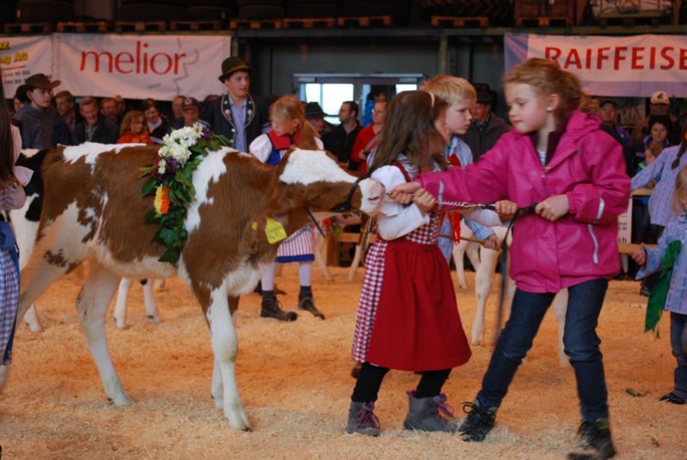 Wie immer ein Highlight: Der Kälberwettbewerb.