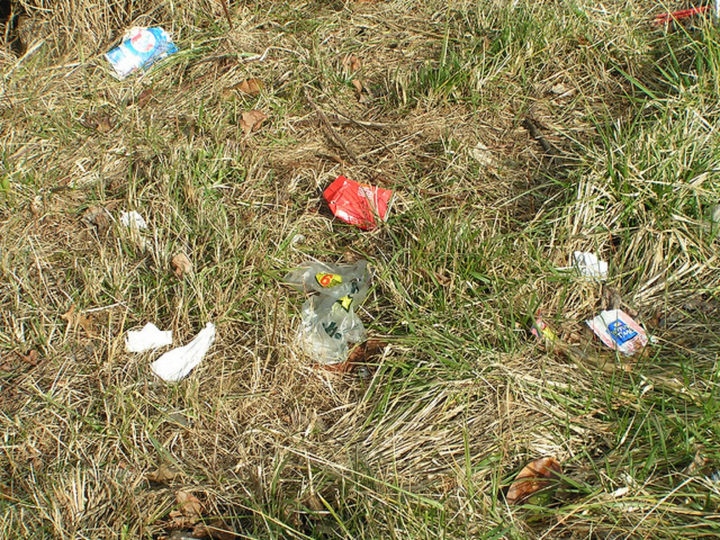 Den Müll aus der Wiese zu fischen, ist eine aufwändige Arbeit. (Bild Flickr/sjmck)