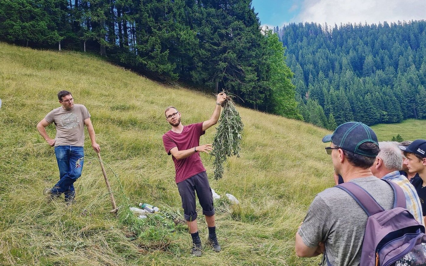 Marco Odermatt gab Tipps zur Unkrautbekämpfung auf Alpen. 