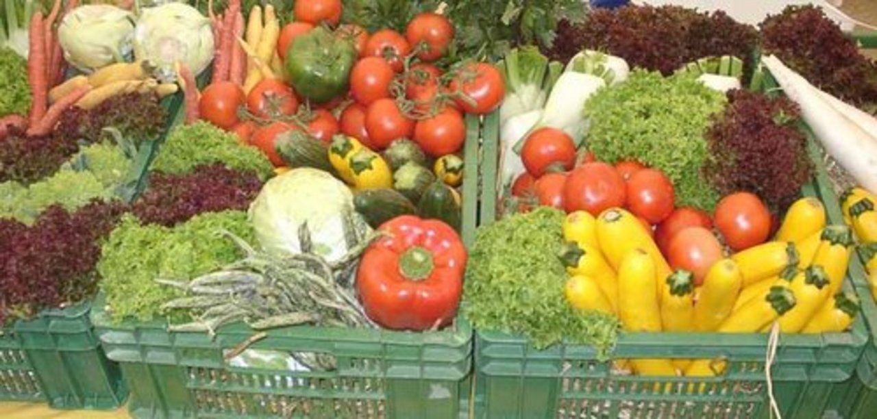 Schweizer Konsumentinnen und Konsumenten griffen beim Gemüseregal letztes Jahr fleissig zu. (Bild: lid)
