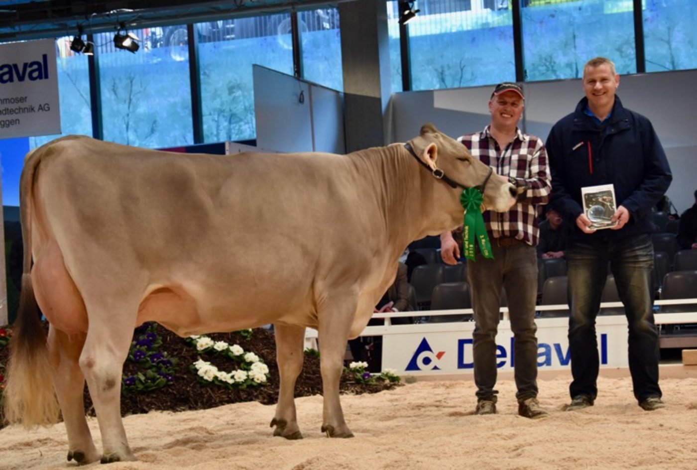 Miss Genetik ist die Rino-Tochter Ragusa-ET von Fabian Kempf aus Schwarzenberg LU. 