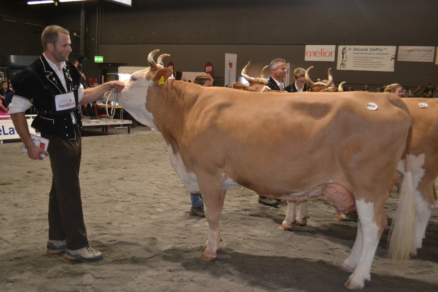 Sie konnte die Kategorie 10 gewinnen: Fabian Anna von Gilgian und Peter Brügger aus Frutigen BE.