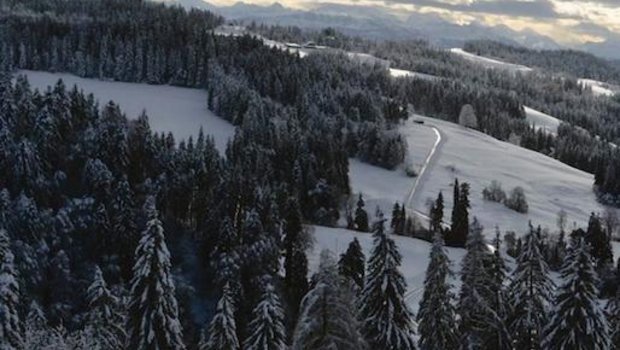 Das Jahr war nicht schlecht, aber die Unsicherheit nimmt zu. Weitblick, wie hier symbolisch im Emmental, hilft beim Umgang mit der Sprunghaftigkeit auf allen Ebenen. (Bild Peter Fankhauser)