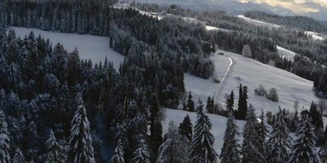 Das Jahr war nicht schlecht, aber die Unsicherheit nimmt zu. Weitblick, wie hier symbolisch im Emmental, hilft beim Umgang mit der Sprunghaftigkeit auf allen Ebenen. (Bild Peter Fankhauser)